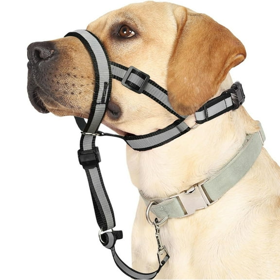 Reflective Head Collar, No Pull Collar For Large Dogs, Anti-Pull Muzzle Leash For Large Sized Breed, Adjustable Soft Dog Halter, Nose Leash For Easy Control On Walks - M