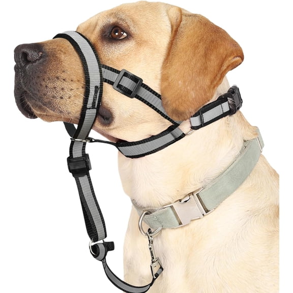 Reflective Head Collar, No Pull Collar for Medium Large Small Dogs, Anti-Pull Muzzle Leash for Medium Sized Breed, Adjustable Soft Dog Halter, Nose Leash for Easy Control on Walks