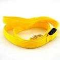 thumbnail image 1 of Reflective LED Dog Leash, 1 of 6