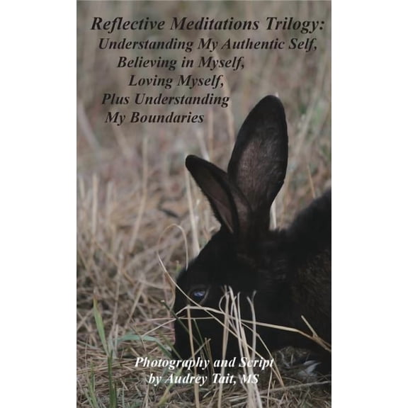 Reflective Meditations Trilogy: Understanding My Authentic Self, Believing in Myself, Loving Myself, Plus Understanding My Boundaries (Paperback)