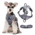 thumbnail image 1 of Reflective Mesh Dog Harness and Leash Set, Breathable Adjustable No Pull Vest for Small Dogs and Cats Daily Walking and Night Use, 1 of 6