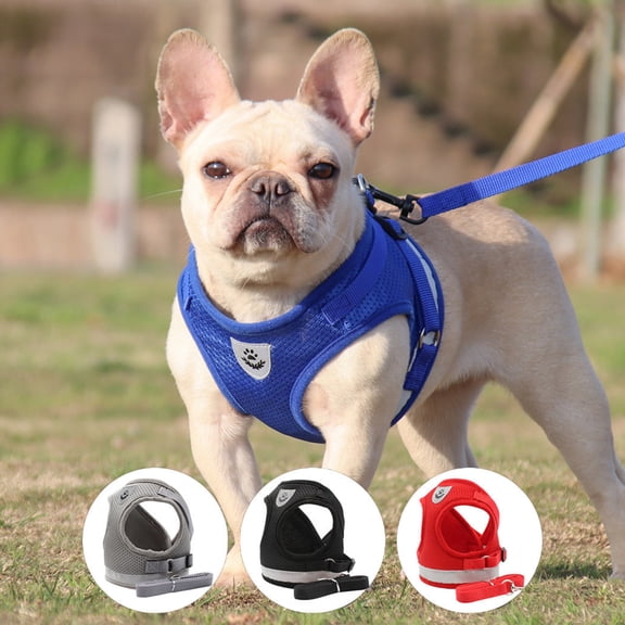 Reflective Mesh Dog Harness with Leash for Small Medium Dogs Breathable No-Pull Step-in Pet Vest for Daily Walking and Training, Blue Size M