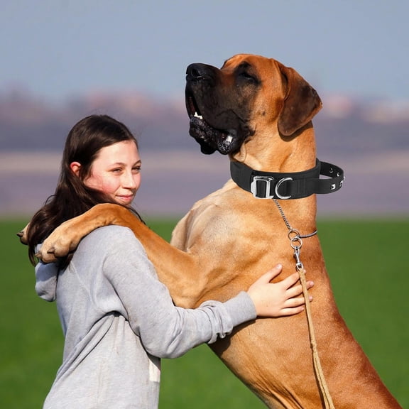 Reflective Nylon Adjustable Collar with Durable Buckle for Suitable for Training Walking Comfort and