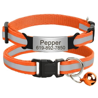 Human cat collar on sale