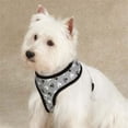 thumbnail image 1 of Reflective Pawprint Harness Sm Black, 1 of 1