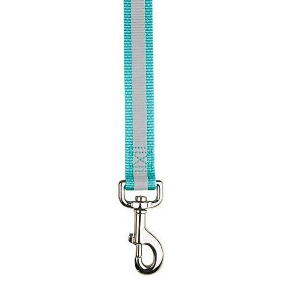 Reflective Safety Dog Collars & Leads Bright Color Stylish Safe For Walking Dogs(6 Foot x 1" Blue Lead)