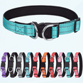 thumbnail image 1 of Reflective Small Breed Dog Collar with Double D Rings Soft NeopreneBreathable Nylon Puppy Collars Adjustable for Girl Boy Pet Cats Teal, 1 of 5