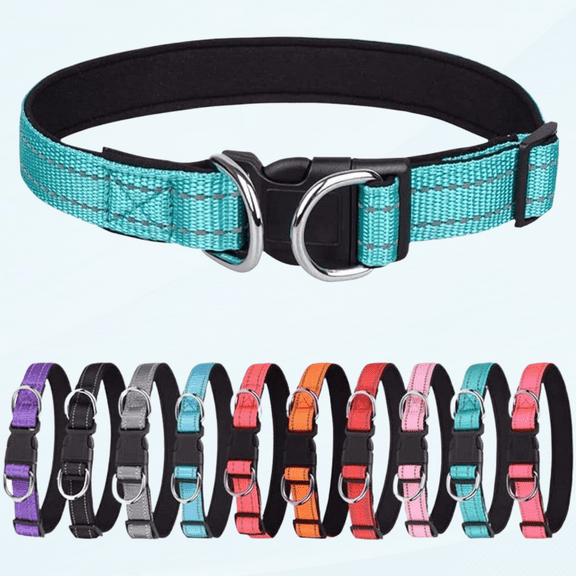 Reflective Small Breed Dog Collar with Double D Rings Soft NeopreneBreathable Nylon Puppy Collars Adjustable for Girl Boy Pet Cats Teal