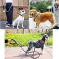 Reflective Strong Durable Dog Leash for Small Medium and Large Dogs