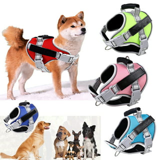 https://i5.walmartimages.com/seo/Reflective-Training-No-Pull-Dog-Harnesses-4-Pcs-Free-Patches-Tag-Puppy-Outdoor-Easy-Control-Soft-Padded-Service-Vest-Small-Medum-Large-Dogs-Red-XS_876609cf-bb13-4feb-8054-429353f58d9f.c0e1b23a1a6e3b5490a02eb8b52dff58.jpeg?odnHeight=320&odnWidth=320&odnBg=FFFFFF