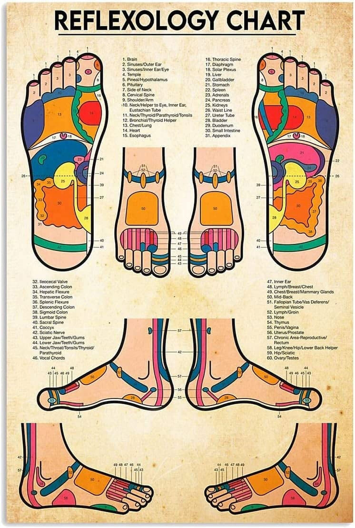 Reflexology Chart Metal Signs Vintage Reflexology Knowledge Tin Poster ...