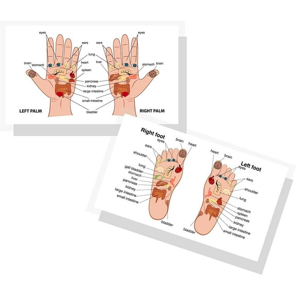 Reflexology Chart for Hand and Foot  50 Pack  2 x 3.5" inches Business Sized Card  Reflexology Massage  Acupressure  Body Treatment