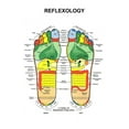 thumbnail image 1 of Reflexology Foot Poster 16x24 Poster Medium Art Poster 16x24 Unframed, Age: Adults, Rectangle Best Posters, 1 of 3