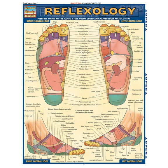 Reflexology (Other)
