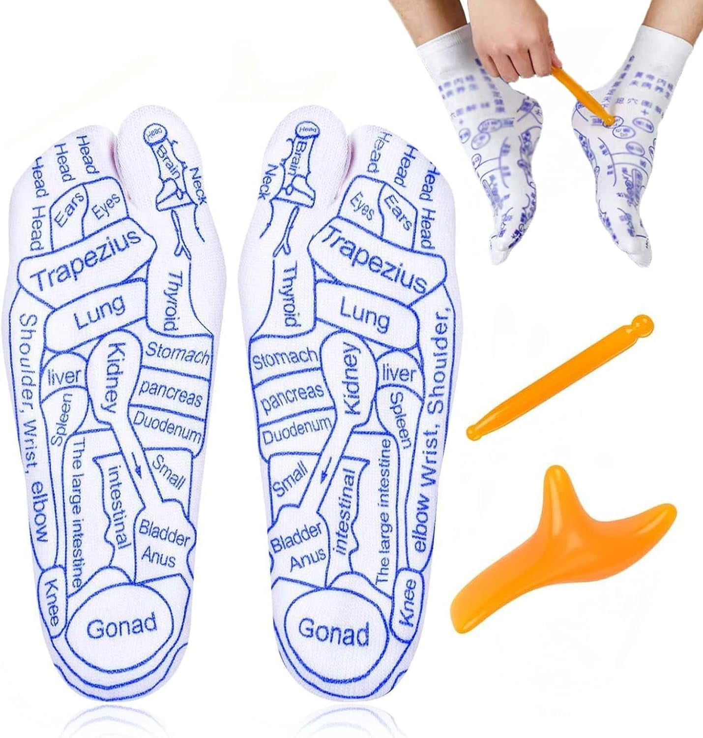 Starting Point Socks Reflexology Socks, Reflexology Socks with Massage Tool, Foot ...