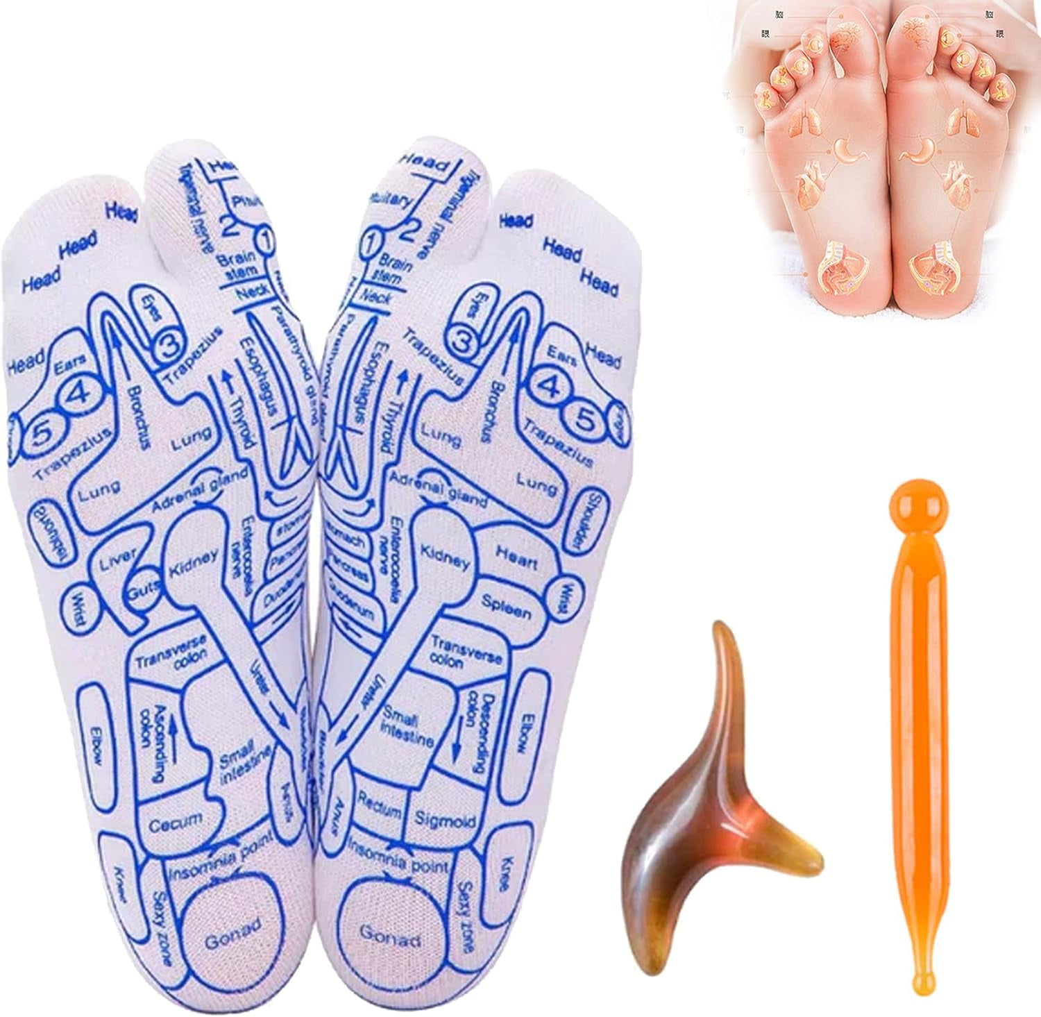 Reflexology Socks Set-2024 New Reflexology Socks with