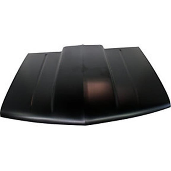 Reflexxion REFFO1230238DS Regular Style Cowl Induction Hood Panel for 2004-2008 Ford F150 & 250