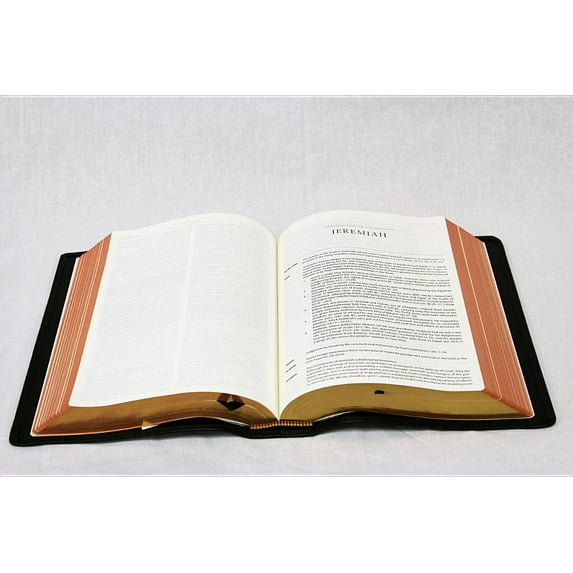 Reformation Heritage Study Bible-KJV (Hardcover)