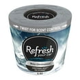thumbnail image 1 of Refresh Your Car! Gel Can Air Freshener (Lightning Bolt/Ice Storm Scent, 5 oz), 1 of 8