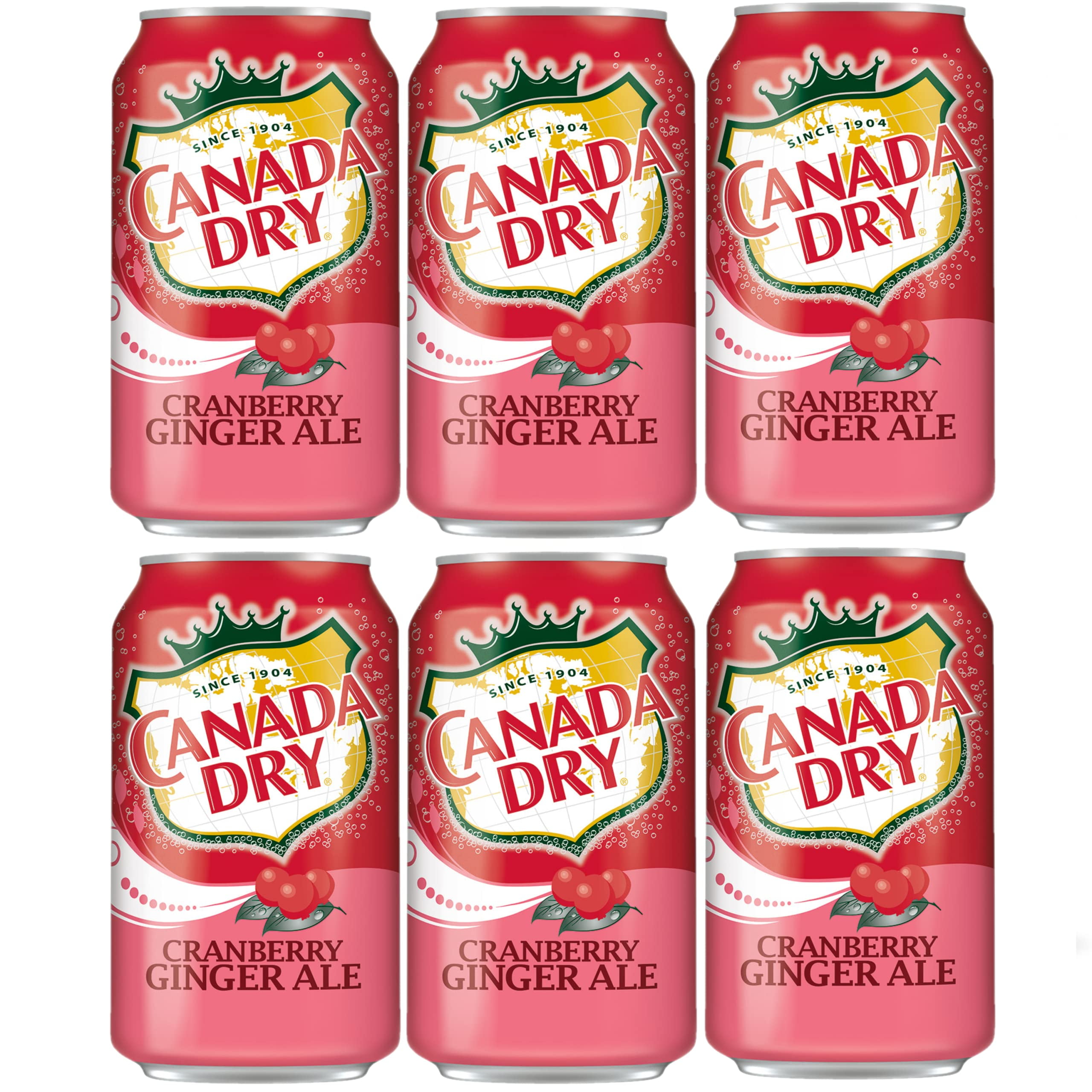 Refreshing and Festive Canada Dry Cranberry Ginger Ale 6 Pack of