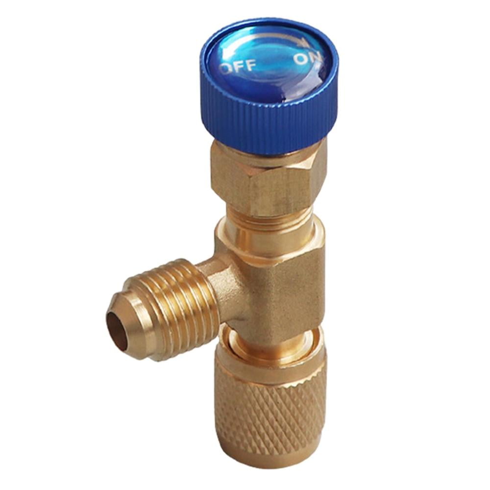 Valve Adapter, Bicycle Valve, Conversion Adapter, Presta, American/English Converter, Pump Part, Bicycle Inflator, Inflatable Extension Tube, Bicycle Tire, Valve Converter, Ball Needle, Ball (19 Pack