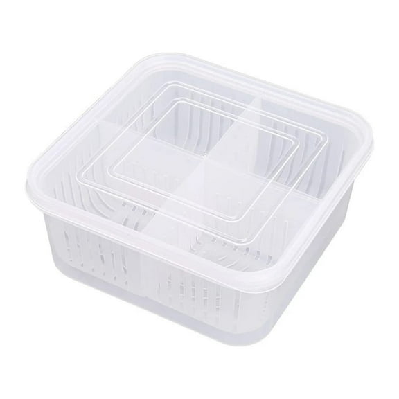 Refrigerator Food Storage Box,Vegetable Fruit Storage Box with Drain Basket Fruit and Vegetable Airtight Box for Chopped Green Onion,Ginger,Vegetables