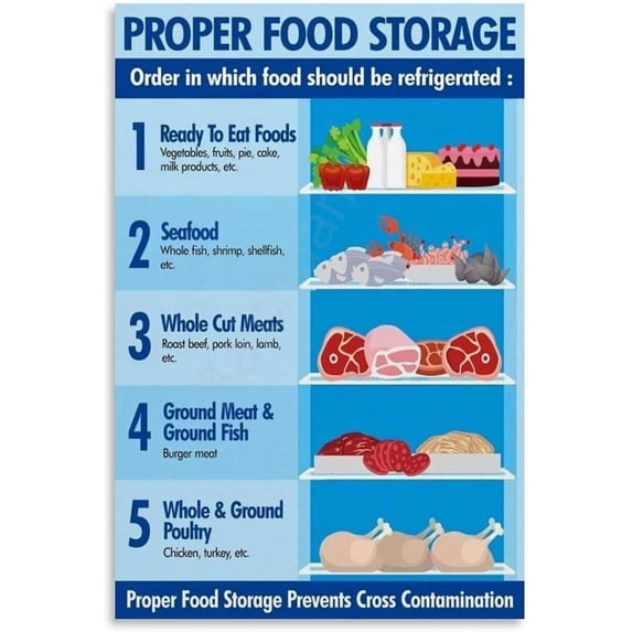 Refrigerator Food Storage Infographic Proper Storage Food Safety Guide Poster Educational Poster Wall Decoration Paintings For Living Room Home Decor