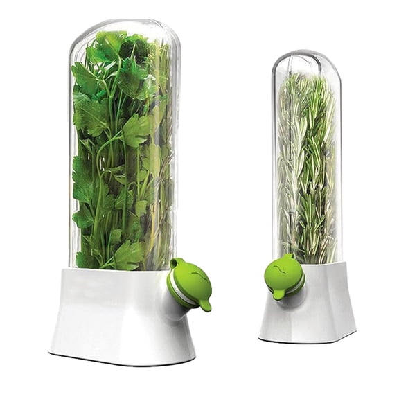 Refrigerator Herb Storage Box Upright Cilantro Storage Container Parsley Preservation Box Keeps Herbs Fresh Longer for Celery Green Onions Asparagus Vegetables