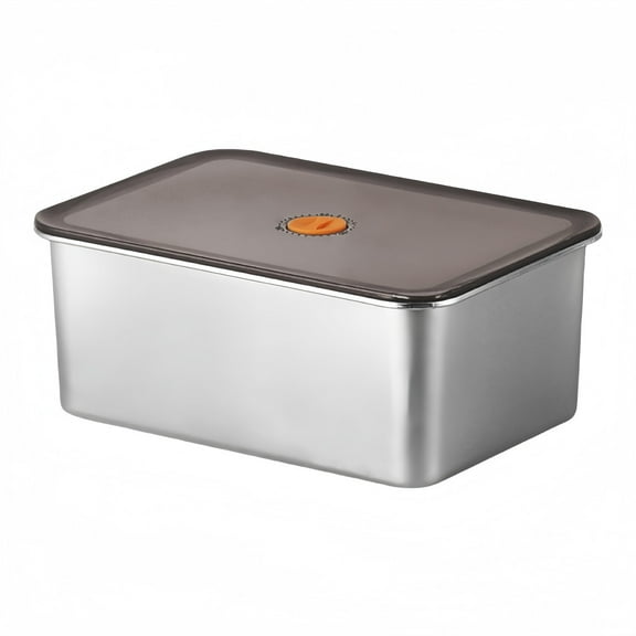 Refrigerator Safe Stainless Steel Food Container with Plastic Lid Large Size