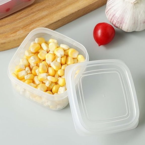 Refrigerator Storage Box - Food Container for Meat Vegetables Fruit - Food Grade Plastic Freezer Organizer with Lid - Small Kitchen Fridge Organizer for Snacks Condiments - Single Pack