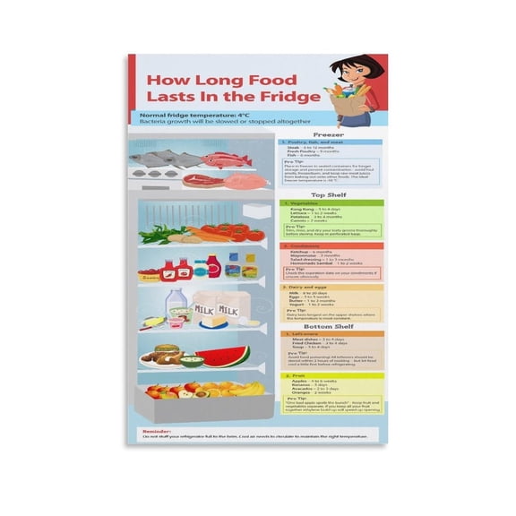 Refrigerator Storage Chart Poster,Refrigerator Safety Guide (15) Canvas Painting Wall Art