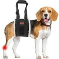thumbnail image 1 of Txbizzer Adjustable Dog Lift Harness, Senior Dog, Black, M (19 to 26 Chest Size), 1 of 10