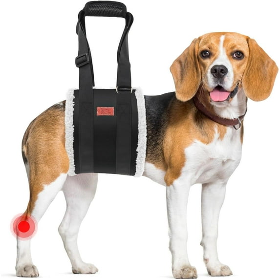 Txbizzer Adjustable Dog Lift Harness, Senior Dog, Black, M (19 to 26 Chest Size)