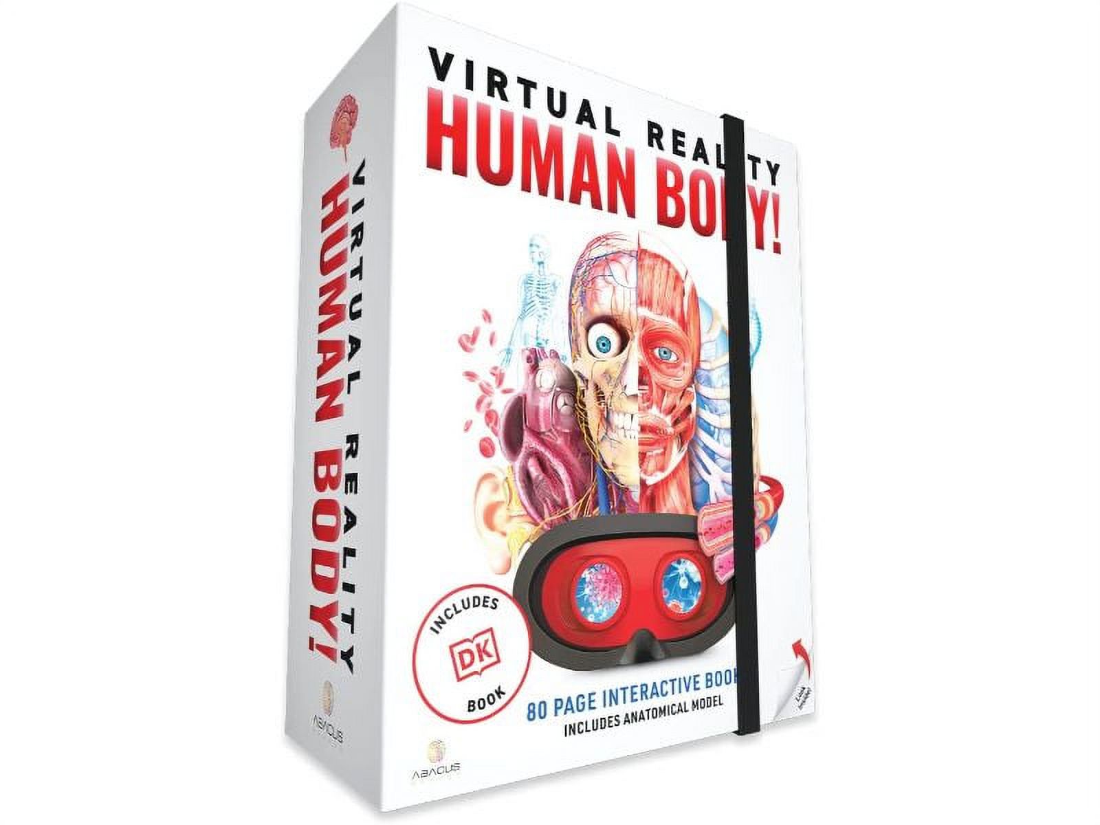 Refurbished Abacus Brands Virtual Reality Human Body Illustrated