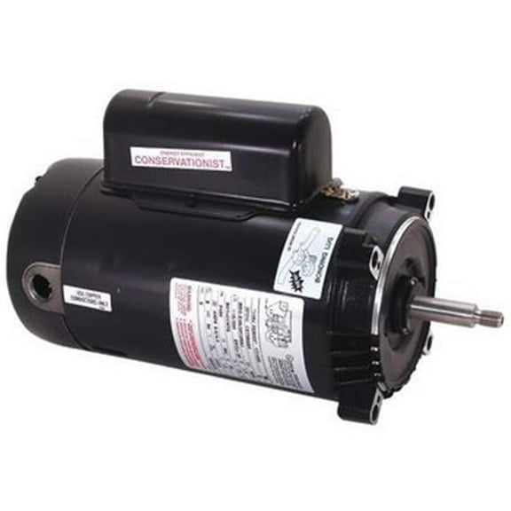 Regal Beloit 115 & 208-230V, 2 HP Century Single Speed Pool Motor