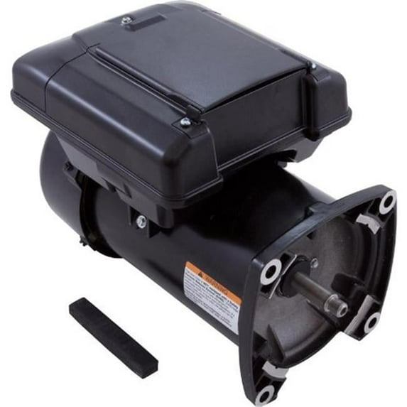 Regal Beloit America - Epc 1.65HP 230V Variable Speed Pool Motor Pump Square Flange