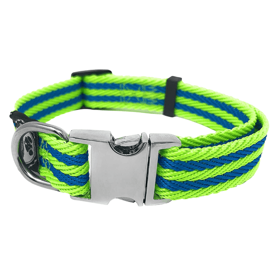 Regal Dog Products Collar with Metal Buckle & D Ring - Fits Small, Medium, Large