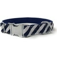 thumbnail image 1 of Regal Dog Products Designer Collars | Custom Fit for Small, Medium & Large Dogs, 1 of 9