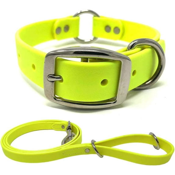 Regal Dog Products Waterproof Collar & Leash Set - Heavy Duty Center Ring Collar & 5' Leash