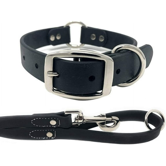Regal Dog Products Waterproof Collar & Leash Set - Heavy Duty Center Ring Collar & 5' Leash