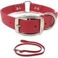 thumbnail image 1 of Regal Dog Products Waterproof Collar & Leash Set - Heavy Duty Center Ring Collar & 5' Leash, 1 of 8