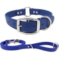 thumbnail image 1 of Regal Dog Products Waterproof Collar & Leash Set - Heavy Duty Center Ring Collar & 5' Leash, 1 of 8