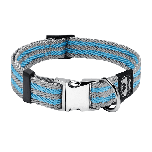 Regal Dog Products Dog Collar with Metal Buckle & D Ring - Fits Small, Medium, Large Dogs