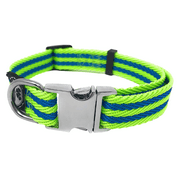 Regal Dog Products Dog Collar with Metal Buckle & D Ring - Fits Small, Medium, Large Dogs