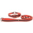 thumbnail image 1 of Regal Dog Products Heavy Duty Reflective Center Ring Collar & 5ft Leash Set, 1 of 7