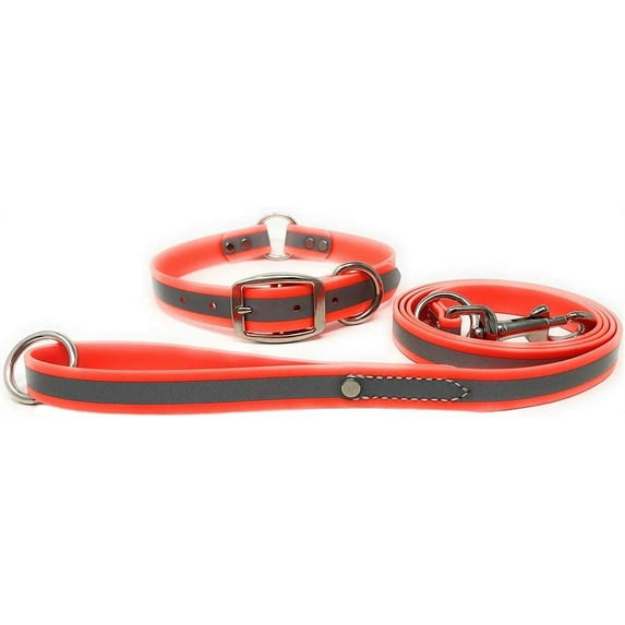 Regal Dog Products Heavy Duty Reflective Center Ring Collar & 5ft Leash Set