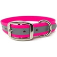 thumbnail image 1 of Regal Dog Products Heavy Duty Waterproof Reflective Standard Collar, 1 of 8