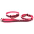thumbnail image 1 of Regal Dog Products Reflective Standard Collar and 5ft Leash Set, 1 of 8