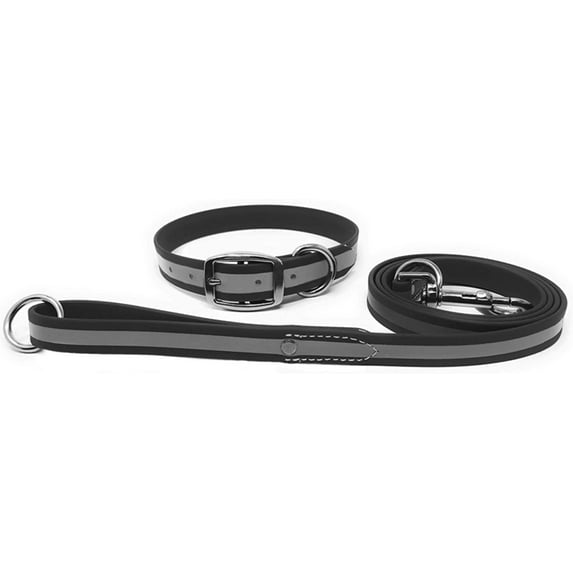 Regal Dog Products Reflective Standard Collar and 5ft Leash Set