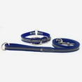 thumbnail image 1 of Regal Dog Products Heavy Duty Reflective Center Ring Collar & 5ft Leash Set, 1 of 8